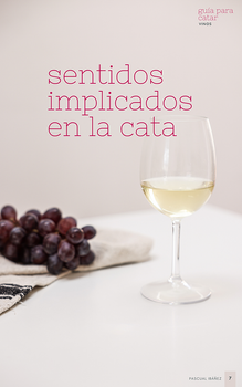 Libro Guía para Catar Vinos - 2da Edición (Pascual Ibáñez)