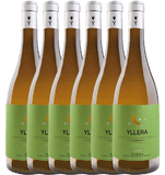 Yllera Vendimia Nocturna Verdejo - Bodega Yllera - Caja de 6 Botellas